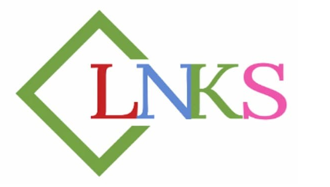 LNKS MAX logo